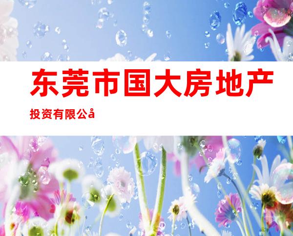 东莞市国大房地产投资有限公司