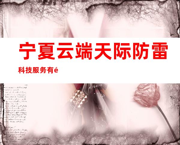 宁夏云端天际防雷科技服务有限公司