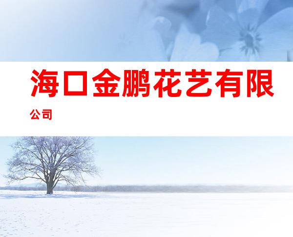 海口金鹏花艺有限公司